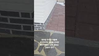 시골은 꼭 시골스러울 필요는 없다. 집 주변은 손이 덜가야 행복한 관리 상태를 유지 할 수있다. 이화면은 이번 폭설 전 영상입니다