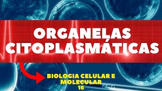 ORGANELAS CITOPLASMÁTICAS - GOLGI, RETÍCULOS, LISOSSOMOS, BIOLOGIA CELULAR E MOLECULAR - AULA 16