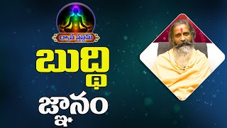 Mind and Knowledge | బుద్థి - జ్ఞానం | Divyajgnanasiddhanthi | Dhyanaprastham | Sree Sannidhi TV