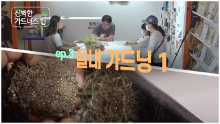 신박한 가드너스 팁 [실전편] EP.3 실내가드닝1