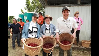 お客様がハシエンダ アルサシア農園で「一杯のコーヒーができるまで」を体験