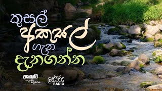 කුසල් අකුසල් ගැන දැනගන්න  | දායකත්ව සදහම් දේශනය