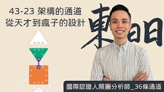 人類圖｜36條通道｜一支影片搞懂43-23架構的通道/從天才到瘋子的設計！#人類圖 #36條通道 #架構的通道 #從天才到瘋子的設計