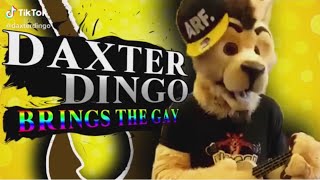 My Favourite Tik Tok Ironic Memes Compilation 3 Pakvim - 