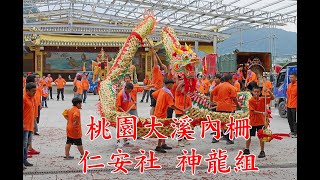 神龍獻瑞/大溪內柵仁安社神龍組