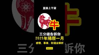 2025年阳历一月属牛感情、事业、财运全解析#蛇年 #生肖運程 #乙巳年 #事業 #財運 #桃花 #开运密码