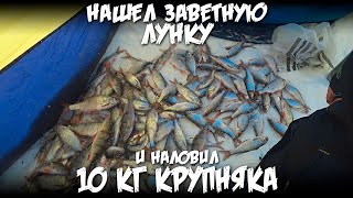 Нашел заветную лунку и наловил 10 кг крупняка