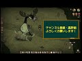 【don t starve together】初心者向け 春のボスmoose goose攻略法 ～すごい良い練習相手になるよ～【ドンスタ 】