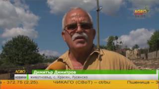 Без проблеми с пасищата в Русенско след промените в закона