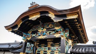 【京都旅】国宝だらけの世界遺産 西本願寺＆混んでない穴場スポットを求めて【2024年秋】