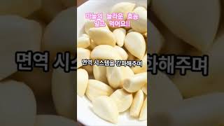 마늘의 놀라운 효능 알고 먹나요 !!