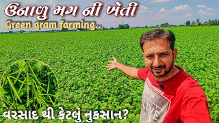 ઉનાળુ મગ ની ખેતી | Mag ni kheti | Mung ki kheti | Green gram farming #viral #farming