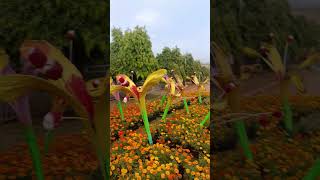 Malampuzha Flower Show 🌺🌻#shortsfeed#viralvideo#trending#