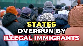 Top 10 States with the Highest Number of Illegal Immigrants in the United States