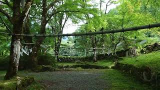 丹波、高源寺、風鈴、青もみじ