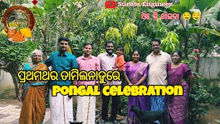 ତାମିଲନାଡୁ ରେ ପ୍ରଥମଥର ପୋଙ୍ଗଲ celebration 🎉 କରିଲି // Full enjoyment ✅✅ // #surataengineervlog🤤🤤