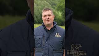 Irish Hereford Prime Farmer Nigel Heatrick