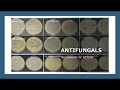 high yield moa of antibiotics u0026 antifungals_the usmle channel. with dr. aksiniya