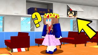 ME ESCONDO DE LA AZAFATA SEXY TROLLINO ✈️😂 EL MEJOR ESCONDITE EN UN AVIÓN CON LOS COMPAS 😎 MINECRAFT