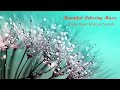 Beautiful Relaxing Music - Peaceful Piano Music & Guitar Music | Sunny Mornings