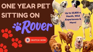 One Year Pet Sitting on Rover | Income, Experience, Review & More!