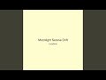 Moonlight Serene Drift