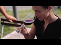 the best hungarian pinot noir and champion award winner red wine vinagora 2020