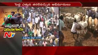 People Ready to Start Jallikattu || Rangampet || Chittoor || NTV