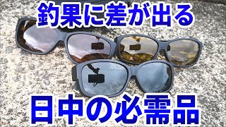 エギング、根魚、青物。安くて使いやすい偏光オーバーグラスが欲しいなら、これを買ってください。