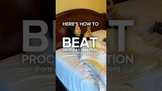 How To Beat Procrastination From A Harvard Student