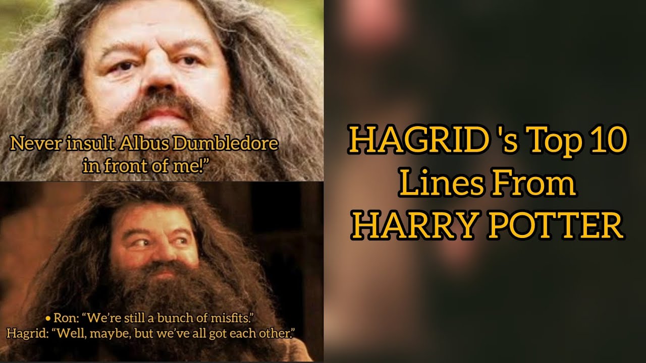 Hagrid Famous Lines From Harry Potter | Famous Dialogues | Hagrid Best ...