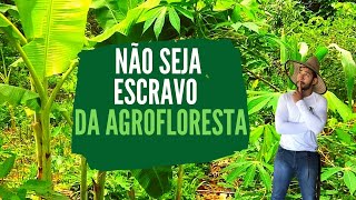 NÃO SEJA ESCRAVO DA AGROFLORESTA!!!