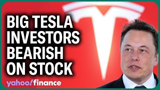 Big Tesla investors are bearish on stock for next 6-12 months