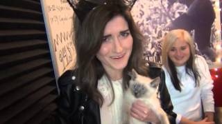 #UberKittens