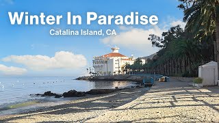 Winter Weekend Getaway to Catalina Island | Peaceful Island Escape