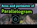 Area and perimeter of parallelogram | Python file | I.E. Imagine Eyes