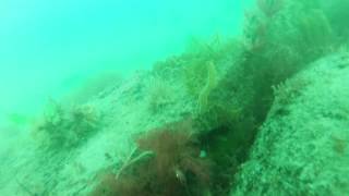 HMS Invincible (1758) Protected wreck 17/07/2017