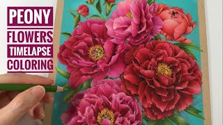 PEONIES - Timelapse Coloring // Chris Cheng