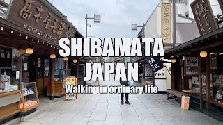 【4K】SHIBAMATA 柴又　大人の東京 散歩  walking in the city of TOKYO JAPAN/  WALKING TOUR