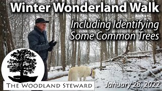 Winter Wonderland Walk: Including Identifying 14 Common Trees – January 28, 2022