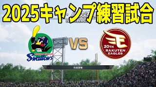 【2025年キャンプ練習試合】東京ヤクルトスワローズ vs 東北楽天ゴールデンイーグルス【プロスピ2024】【プロ野球スピリッツ2024-2025】新戦力 ルーキー 新外国人