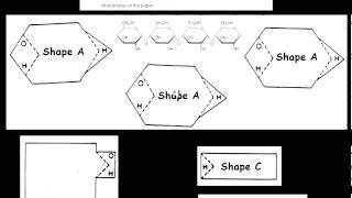 Macromolecule Activity