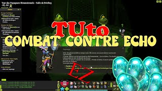 [Tuto] Combat final du Dofus des veilleurs contre Echo