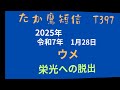 t397　2025年1月28日　　ウメ　　　音楽　栄光への脱出　　　南部丘陵公園　　たか鷹短信