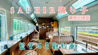 SAPHIR踴子號｜從東京到伊豆全新奢華景觀列車！東海上的藍寶石，一望無際的海景，Japan Vlog