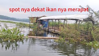 ikan nya merapat! hsil nya mantap!! mancing cirata calingcing terbaru.