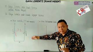 Gaya Lorentz pada Kawat Sejajar