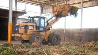 Strathbogie Waste Management