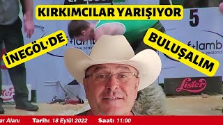 KIRKIMCILAR İNEGÖL'DE YARIŞIYOR ( 2022 İnegöl Kırkım Şampiyonası Adayları)