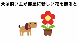 犬と飼い主との愛情表現の雑学